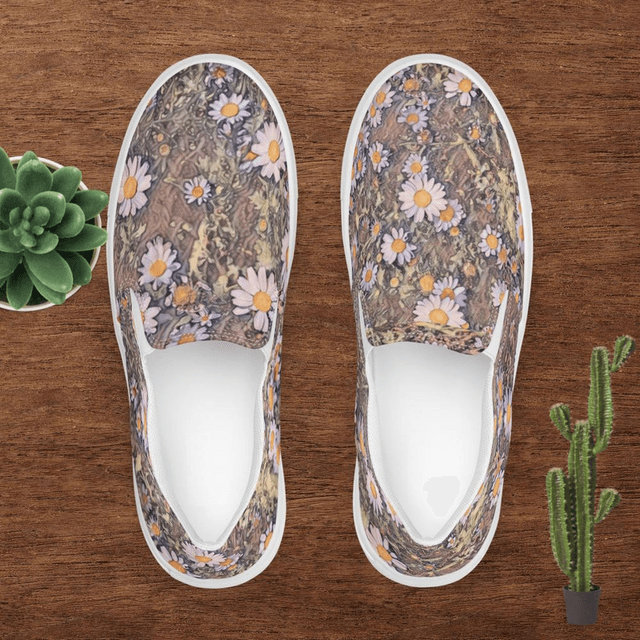 5 Men’s Lazy Daisy slip-on canvas shoes